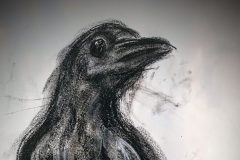 Crow-study.-Charcoal-on-paper.-2021