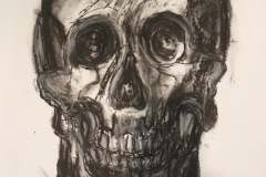 Skull-study.-Charcoal-on-paper.-2022